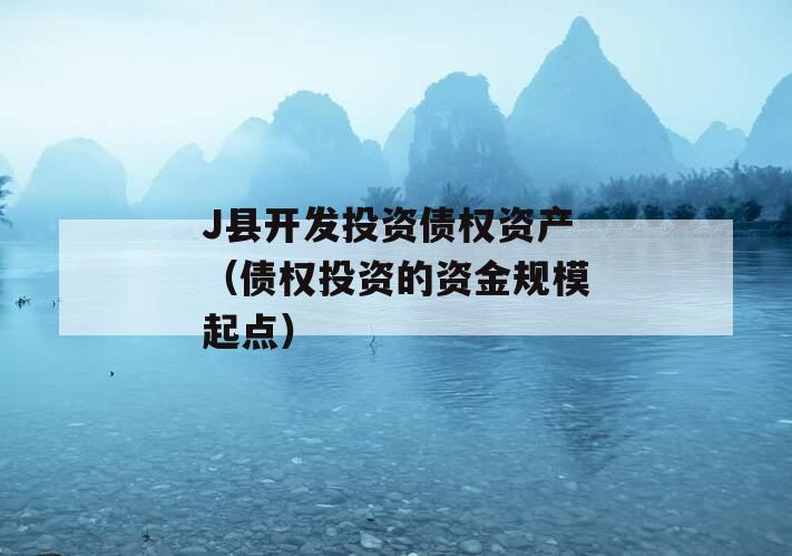 J县开发投资债权资产（债权投资的资金规模起点）
