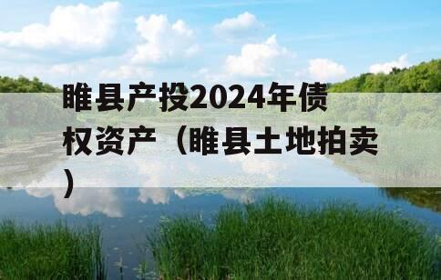 睢县产投2024年债权资产（睢县土地拍卖）