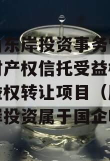 眉山东岸投资事务管理类财产权信托受益权之收益权转让项目（眉山东岸投资属于国企吗）