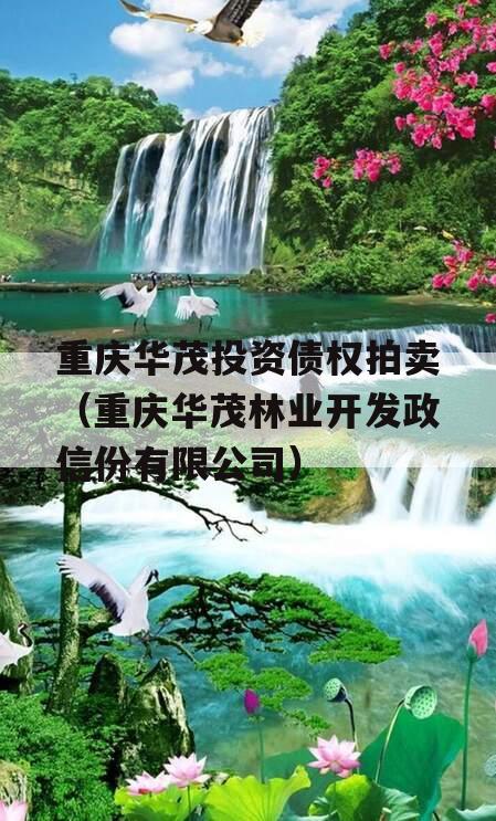 重庆华茂投资债权拍卖（重庆华茂林业开发政信份有限公司）