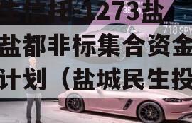 民生信托-1273盐城盐都非标集合资金信托计划（盐城民生投诉）
