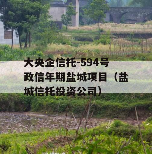 大央企信托-594号政信年期盐城项目（盐城信托投资公司）