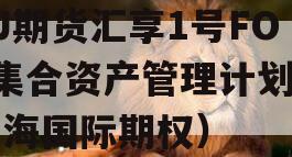 GJ期货汇享1号FOF集合资产管理计划（汇海国际期权）