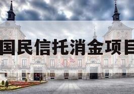 国民信托消金项目