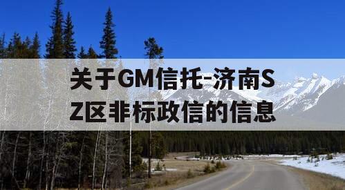 关于GM信托-济南SZ区非标政信的信息