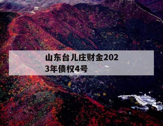 山东台儿庄财金2023年债权4号
