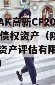 陕西AK高新CF2024年债权资产（陕西高新资产评估有限责任公司）