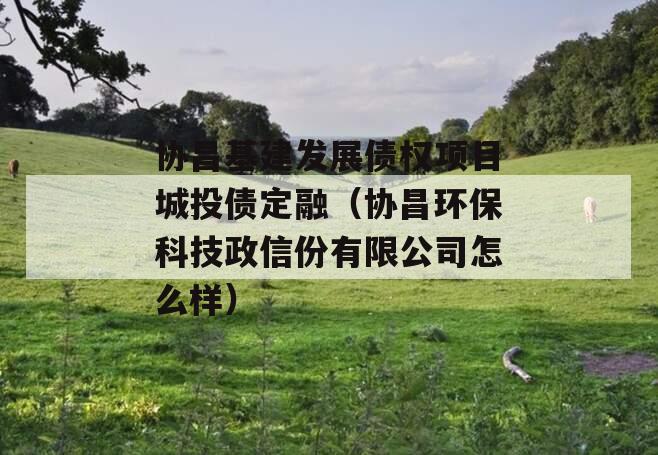 协昌基建发展债权项目城投债定融（协昌环保科技政信份有限公司怎么样）