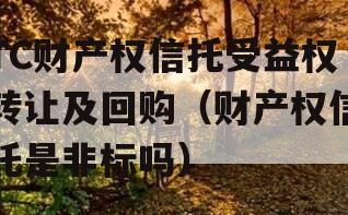 TC财产权信托受益权转让及回购（财产权信托是非标吗）