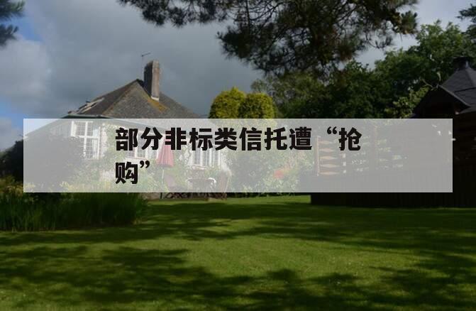 部分非标类信托遭“抢购”