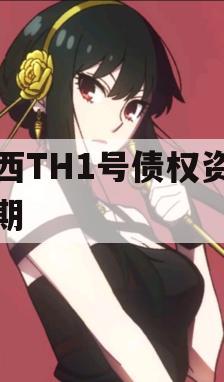 陕西TH1号债权资产-2期