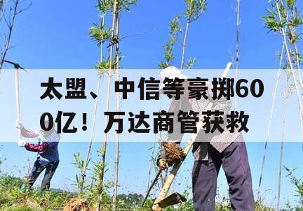 太盟、中信等豪掷600亿！万达商管获救