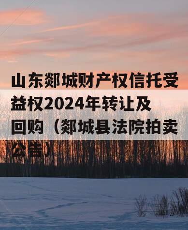 山东郯城财产权信托受益权2024年转让及回购（郯城县法院拍卖公告）
