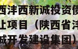 陕西沣西新诚投资债权转让项目（陕西省沣西新城开发建设集团）