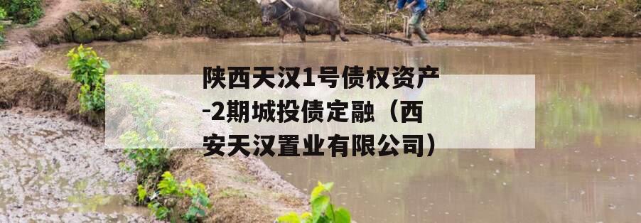 陕西天汉1号债权资产-2期城投债定融（西安天汉置业有限公司）