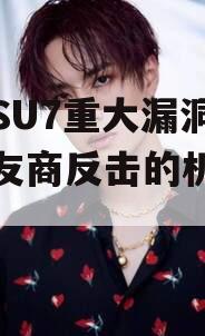 小米SU7重大漏洞爆出？友商反击的机会来了？