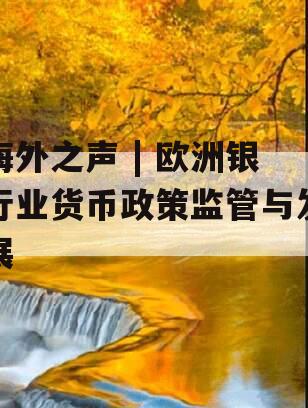 海外之声 | 欧洲银行业货币政策监管与发展