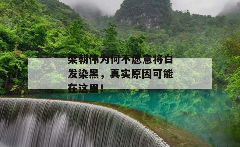 梁朝伟为何不愿意将白发染黑，真实原因可能在这里！