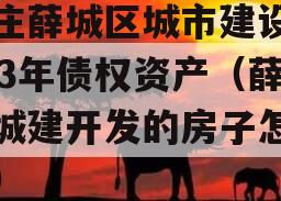 枣庄薛城区城市建设2023年债权资产（薛城城建开发的房子怎么样）