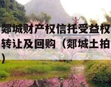 郯城财产权信托受益权转让及回购（郯城土拍）