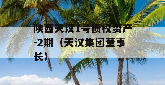 陕西天汉1号债权资产-2期（天汉集团董事长）