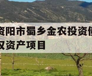 资阳市蜀乡金农投资债权资产项目