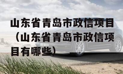 山东省青岛市政信项目（山东省青岛市政信项目有哪些）