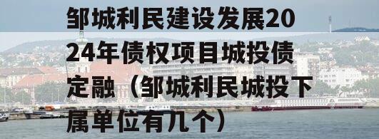 邹城利民建设发展2024年债权项目城投债定融（邹城利民城投下属单位有几个）