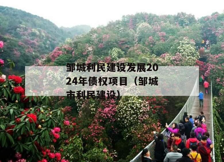 邹城利民建设发展2024年债权项目（邹城市利民建设）
