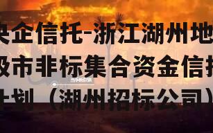 央企信托-浙江湖州地级市非标集合资金信托计划（湖州招标公司）
