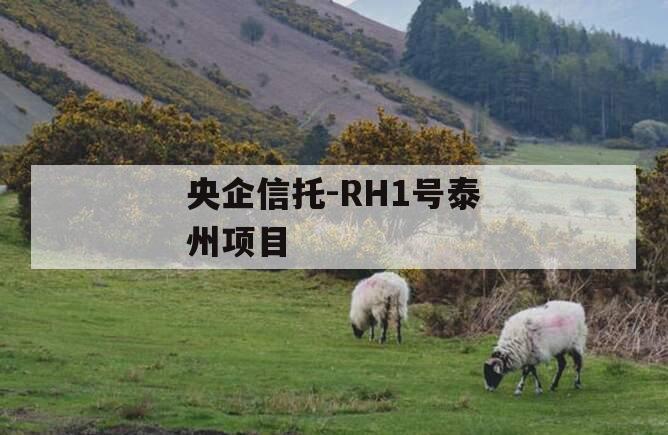 央企信托-RH1号泰州项目
