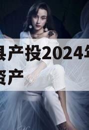 睢县产投2024年债权资产