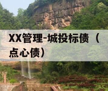 XX管理-城投标债（点心债）