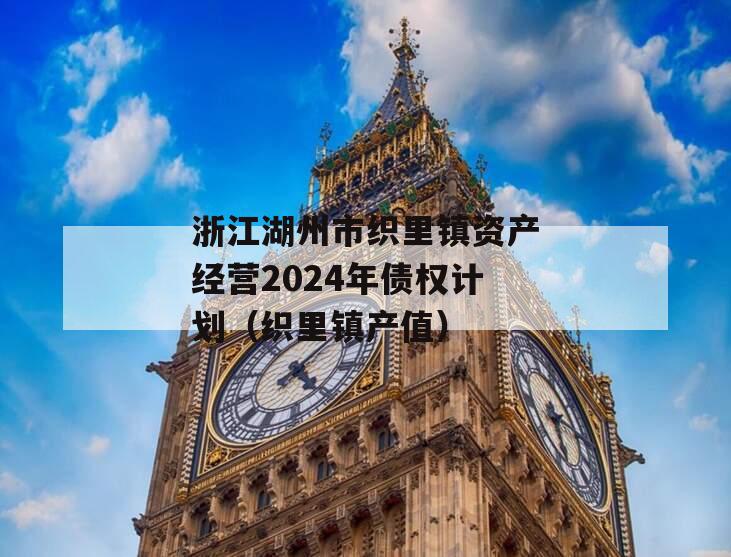浙江湖州市织里镇资产经营2024年债权计划（织里镇产值）
