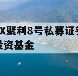XX聚利8号私募证券投资基金