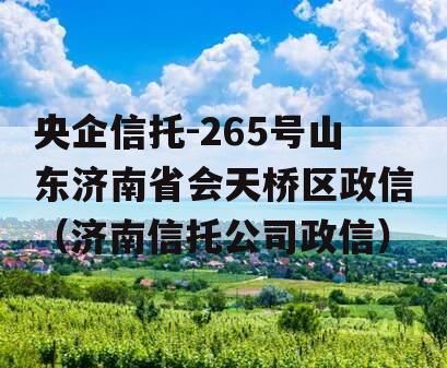 央企信托-265号山东济南省会天桥区政信（济南信托公司政信）