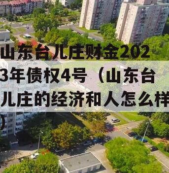 山东台儿庄财金2023年债权4号（山东台儿庄的经济和人怎么样）