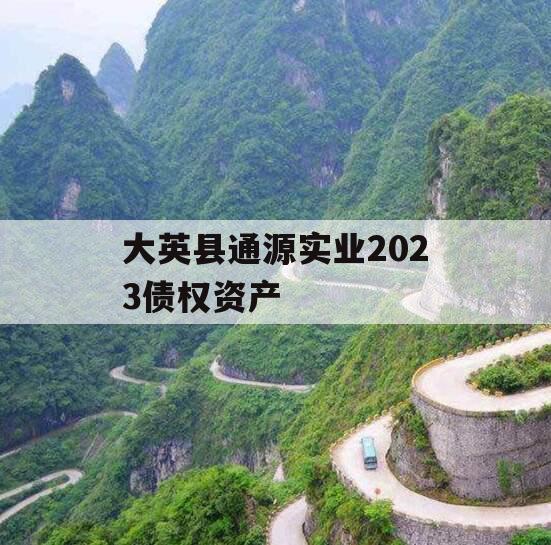 大英县通源实业2023债权资产
