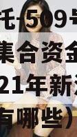 央企信托-509号新沂项目集合资金信托计划（2021年新沂集团公司有哪些）