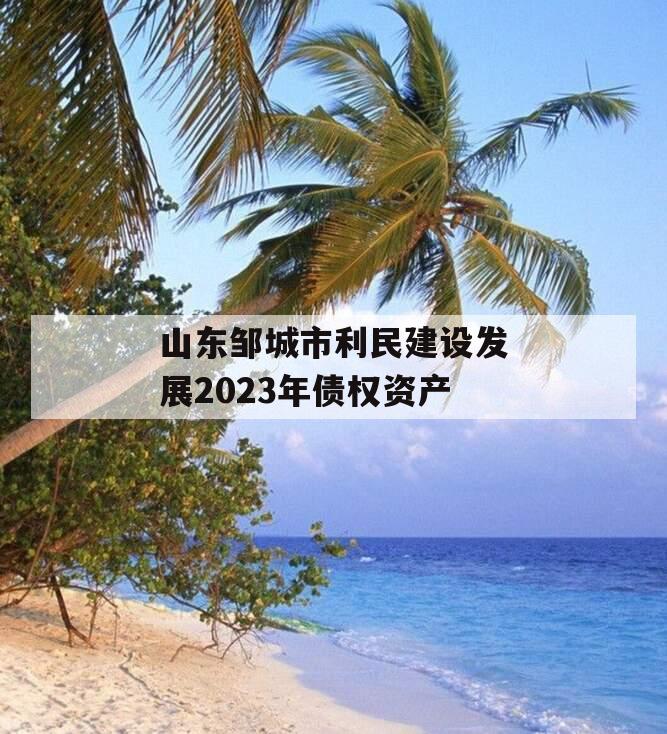 山东邹城市利民建设发展2023年债权资产