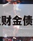 台儿庄财金债权计划