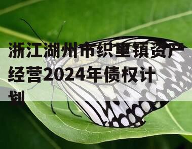 浙江湖州市织里镇资产经营2024年债权计划 浙江湖州市织里镇资产经营2024年债权计划