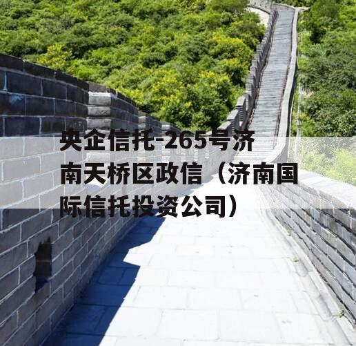 央企信托-265号济南天桥区政信（济南国际信托投资公司）