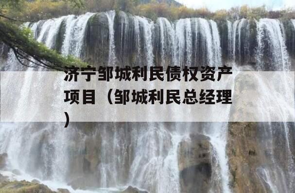 济宁邹城利民债权资产项目（邹城利民总经理）