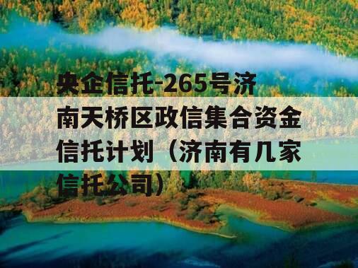 央企信托-265号济南天桥区政信集合资金信托计划（济南有几家信托公司）