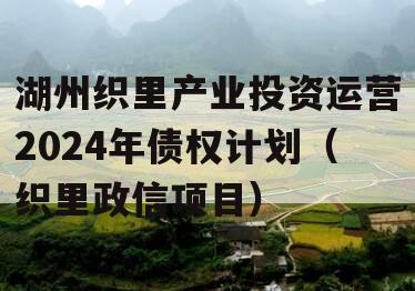 湖州织里产业投资运营2024年债权计划（织里政信项目）