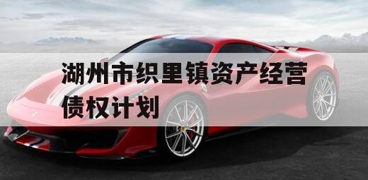 湖州市织里镇资产经营债权计划