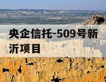 央企信托-509号新沂项目