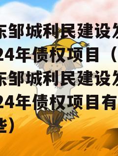 山东邹城利民建设发展2024年债权项目（山东邹城利民建设发展2024年债权项目有哪些）