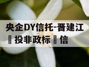 央企DY信托-晋建江‬投非政标‬信